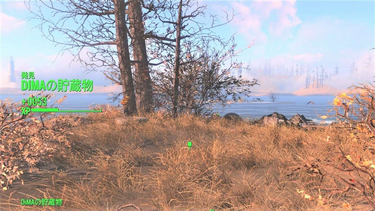 DiMAの貯蔵物　ファー・ハーバー　Fallout4　フォールアウト4　攻略