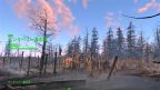 カンタベリー島の沼　ファー・ハーバー　Fallout4　フォールアウト4　攻略