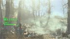 輝きの木立ち　ファー・ハーバー　Fallout4　フォールアウト4　攻略
