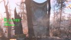 輝く頂上の聖堂　ファー・ハーバー　Fallout4　フォールアウト4　攻略