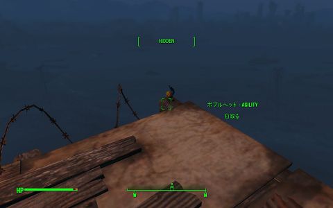 ボブルヘッド - Agility　FMSノーザンスターの残骸　連邦南東　Fallout4　フォールアウト4　攻略