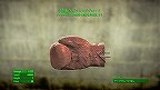 決闘者の(武器) 　レジェンダリー　武器　フォールアウト4　Fallout4　攻略