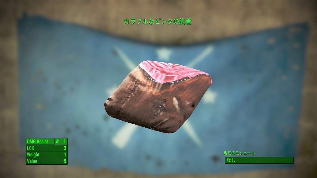 カラフルなピンクの肌着　アイテム(衣服)　フォールアウト4　Fallout4　攻略