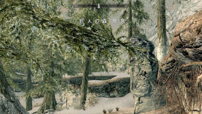 スカイリム 巨人の森　Skyrim　攻略