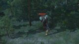 Call of the Wild　ウィッチャー3 攻略 The Witcher 3 Wild Hunt