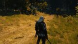 Highway Robbery　ウィッチャー3 攻略 The Witcher 3 Wild Hunt